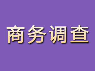 清镇商务调查